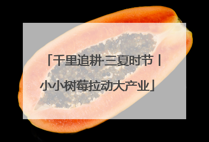 千里追耕·三夏时节丨小小树莓拉动大产业