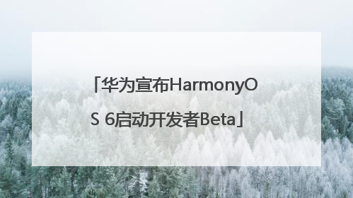 华为宣布HarmonyOS 6启动开发者Beta