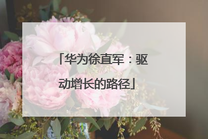 华为徐直军：驱动增长的路径