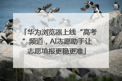 华为浏览器上线“高考”频道，AI志愿助手让志愿填报更稳更准