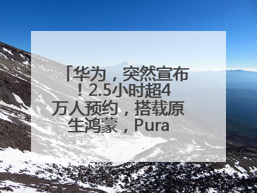 华为，突然宣布！2.5小时超4万人预约，搭载原生鸿蒙，Pura 80外观曝光