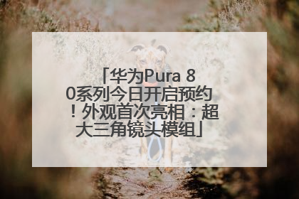 华为Pura 80系列今日开启预约！外观首次亮相：超大三角镜头模组
