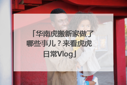 华南虎搬新家做了哪些事儿？来看虎虎日常Vlog