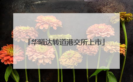华曦达转道港交所上市