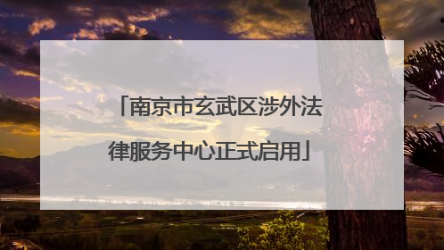 南京市玄武区涉外法律服务中心正式启用