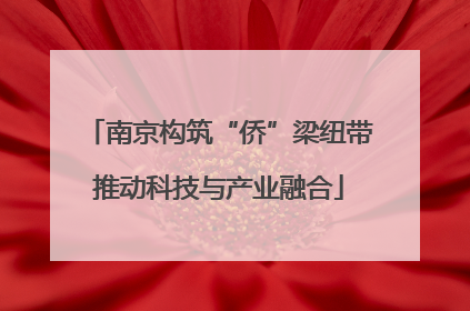 南京构筑“侨”梁纽带推动科技与产业融合