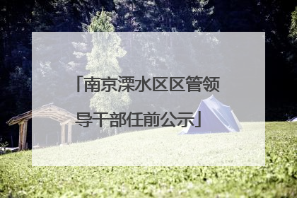 南京溧水区区管领导干部任前公示