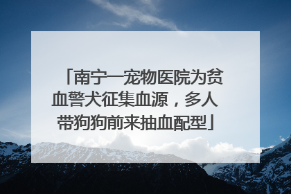 南宁一宠物医院为贫血警犬征集血源，多人带狗狗前来抽血配型