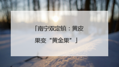 南宁双定镇：黄皮果变“黄金果”
