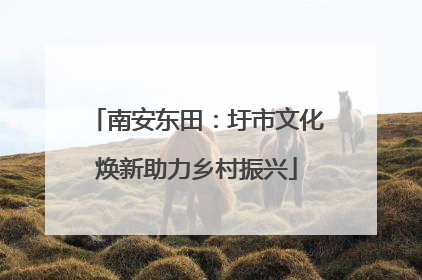 南安东田：圩市文化焕新助力乡村振兴