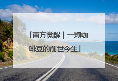 南方觉醒｜一颗咖啡豆的前世今生