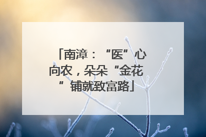 南漳：“医”心向农，朵朵“金花”铺就致富路