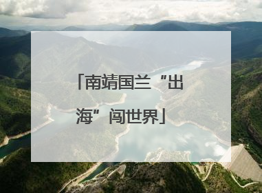 南靖国兰“出海”闯世界
