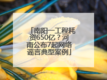 南阳一工程耗资650亿？河南公布7起网络谣言典型案例