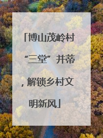 博山茂岭村“三堂”并蒂，解锁乡村文明新风