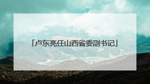 卢东亮任山西省委副书记