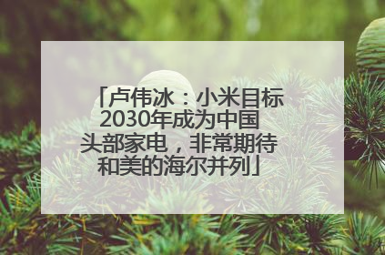 卢伟冰：小米目标2030年成为中国头部家电，非常期待和美的海尔并列