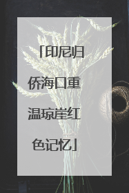 印尼归侨海口重温琼崖红色记忆