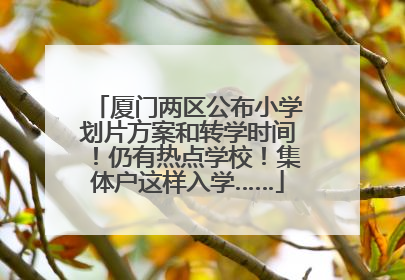 厦门两区公布小学划片方案和转学时间！仍有热点学校！集体户这样入学……
