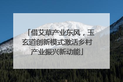 借艾草产业东风，玉玄道创新模式激活乡村产业振兴新动能