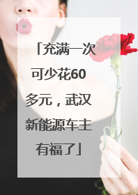 充满一次可少花60多元，武汉新能源车主有福了