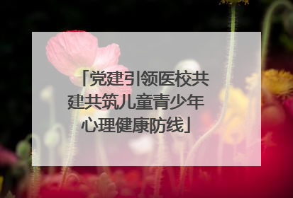 党建引领医校共建共筑儿童青少年心理健康防线