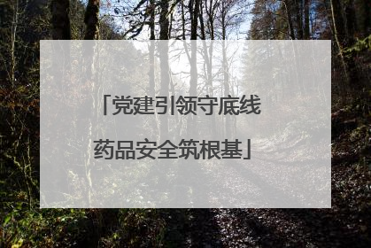 党建引领守底线 药品安全筑根基