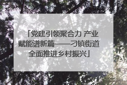 党建引领聚合力 产业赋能谱新篇——刁镇街道全面推进乡村振兴