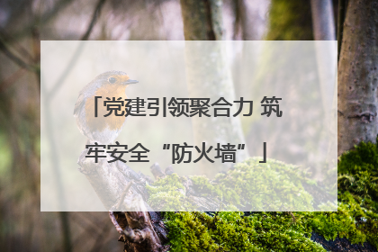 党建引领聚合力 筑牢安全“防火墙”