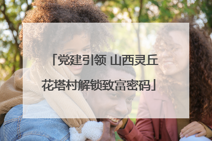 党建引领 山西灵丘花塔村解锁致富密码