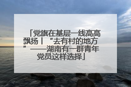 党旗在基层一线高高飘扬丨“去有村的地方”——湖南有一群青年党员这样选择