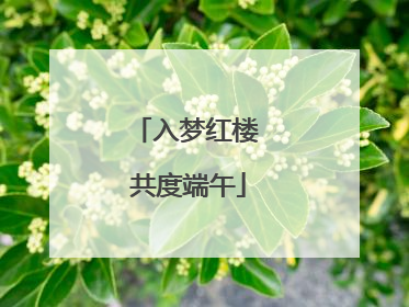 入梦红楼 共度端午
