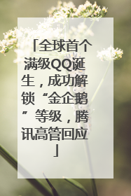 全球首个满级QQ诞生，成功解锁“金企鹅”等级，腾讯高管回应
