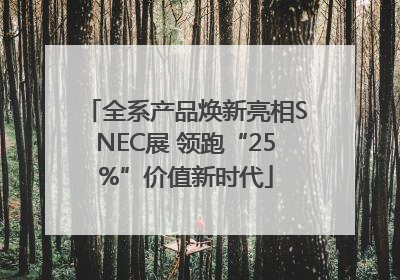 全系产品焕新亮相SNEC展 领跑“25%”价值新时代