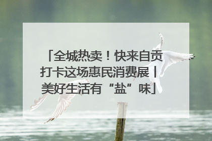 全城热卖！快来自贡打卡这场惠民消费展丨美好生活有“盐”味