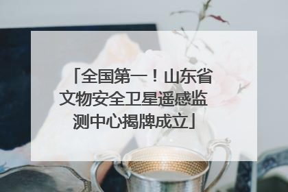 全国第一！山东省文物安全卫星遥感监测中心揭牌成立