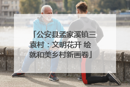 公安县孟家溪镇三袁村：文明花开 绘就和美乡村新画卷
