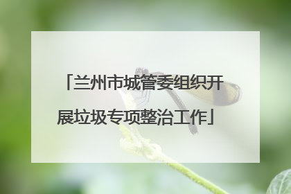 兰州市城管委组织开展垃圾专项整治工作