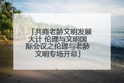 共商老龄文明发展大计 伦理与文明国际会议之伦理与老龄文明专场开幕