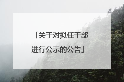 关于对拟任干部进行公示的公告