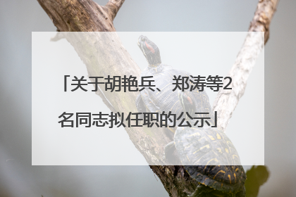 关于胡艳兵、郑涛等2名同志拟任职的公示
