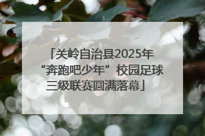 关岭自治县2025年“奔跑吧少年”校园足球三级联赛圆满落幕