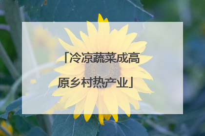 冷凉蔬菜成高原乡村热产业