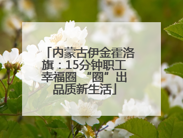 内蒙古伊金霍洛旗：15分钟职工幸福圈 “圈”出品质新生活