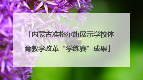 内蒙古准格尔旗展示学校体育教学改革“学练赛”成果