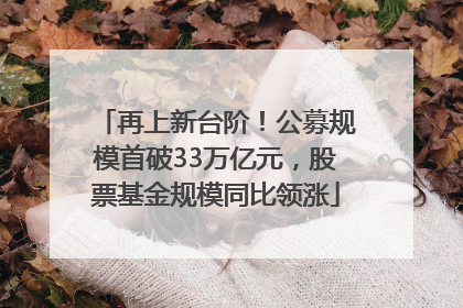 再上新台阶！公募规模首破33万亿元，股票基金规模同比领涨
