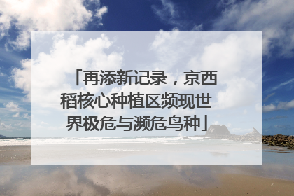 再添新记录，京西稻核心种植区频现世界极危与濒危鸟种