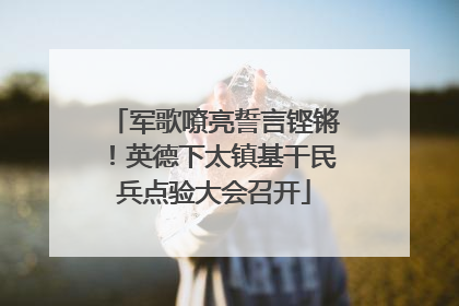 军歌嘹亮誓言铿锵！英德下太镇基干民兵点验大会召开