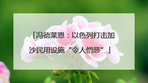 冯德莱恩：以色列打击加沙民用设施“令人憎恶”