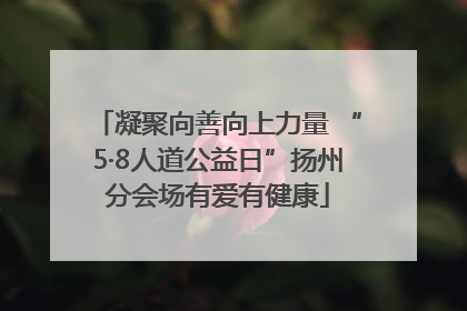凝聚向善向上力量 “5·8人道公益日”扬州分会场有爱有健康